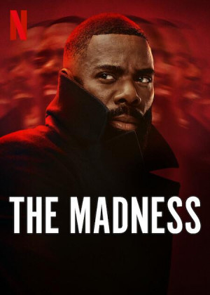 The Madness TV series 2024 poster.